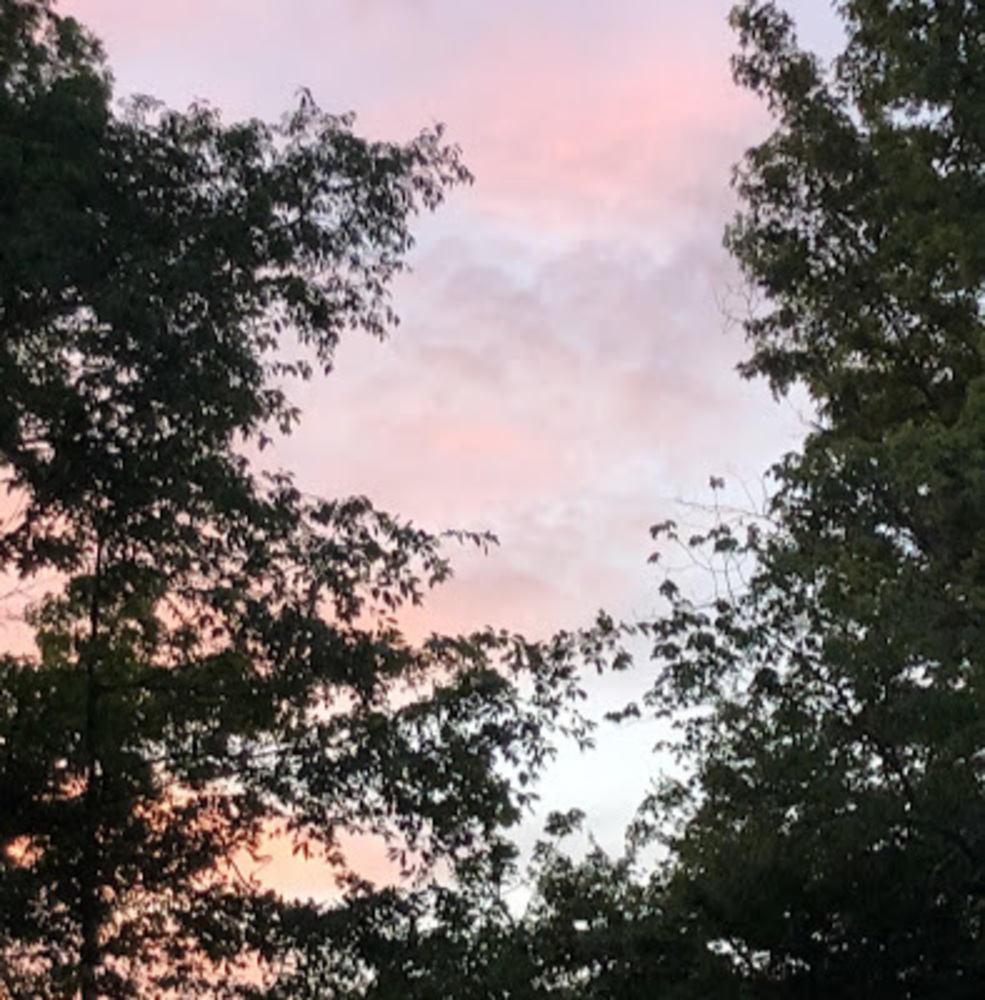 Meet your Posher, Briana